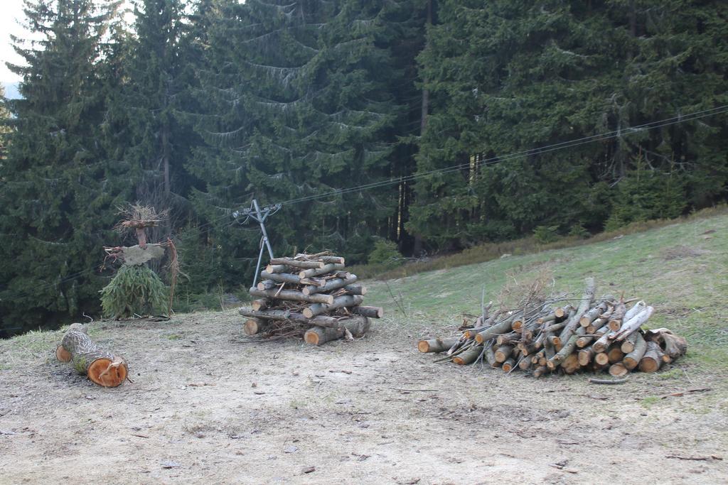 Vysokohorsky Apartman Cihlarka Pec pod Snezkou Luaran gambar